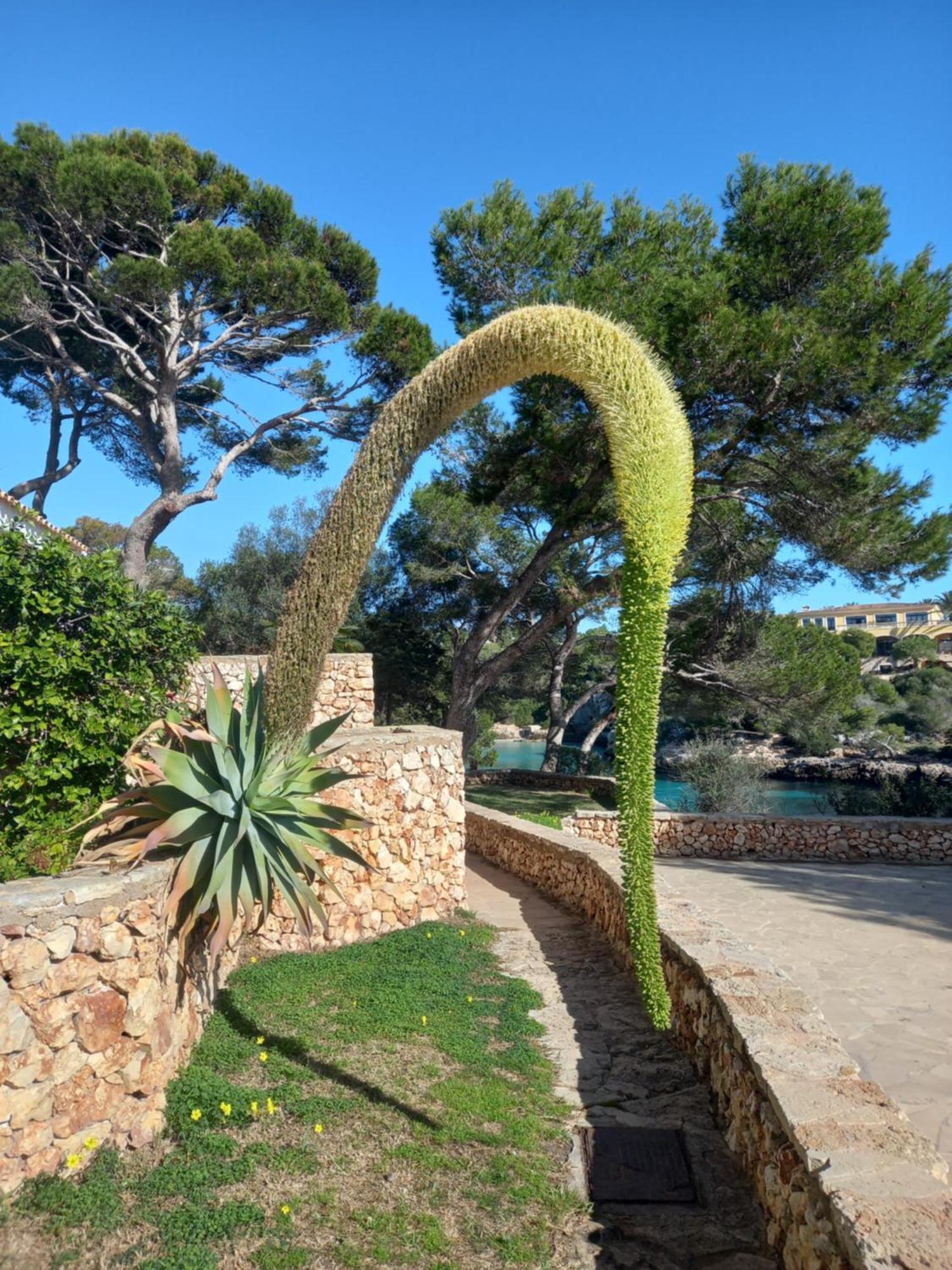 Appartement Ferrera Park Vue Mer Cala Ferrera  Exterior photo